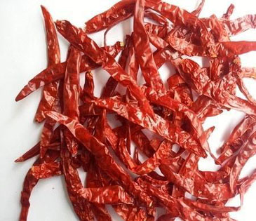 S273 Dry Red wrinkle Chili