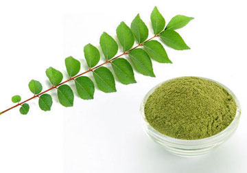 Dry curry leaves powder